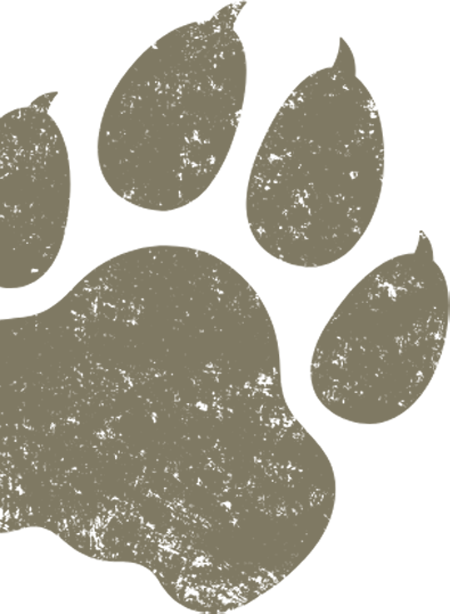 paw